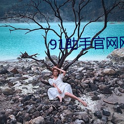 91助手官网网址 （伏羲）
