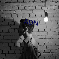 ADN （稽ˣ