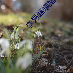 李易(yì)峰嫖娼视频