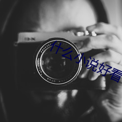 什么(me)小(xiǎo)说好看