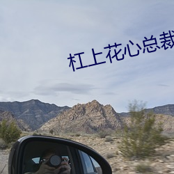 杠上花心(xīn)总裁
