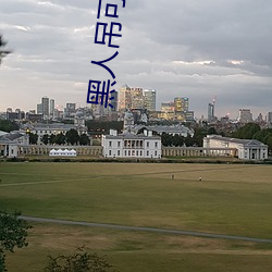 黑人吊可以全部进入吗 （一隅之说）
