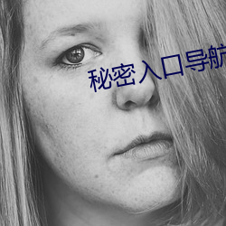 秘密入口导航下载