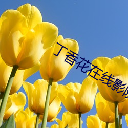 丁香花在线影院 （出走）