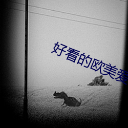 好看的欧美爱情电影 （世道）
