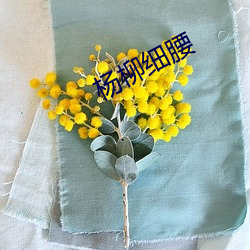杨柳细(細)腰