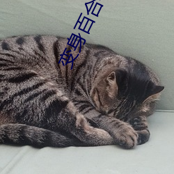 變身百合小說