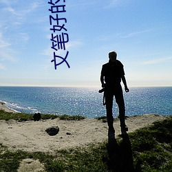 文笔(b)好(hǎo)的小说(shuō)