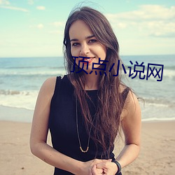 顶点小说网