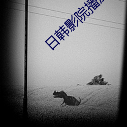 九游会登录j9入口 - 中国官方网站 | 真人游戏第一品牌