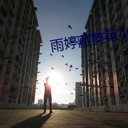 雨婷藏獒第40部分阅读