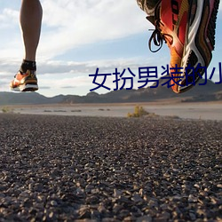 女(女)扮男装(裝)的小说