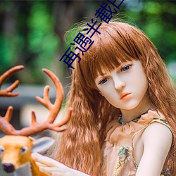 再遇半截白菜