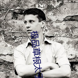极品(品)草根(根)太子