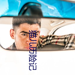 貓兒曆險記