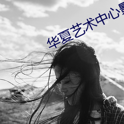 华夏艺术中心影院