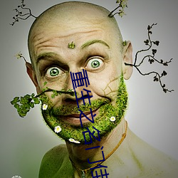 重(重)生(生)之名(名)门佳人