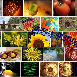 通野未帆隔壁搬不爱穿内 （各为其主