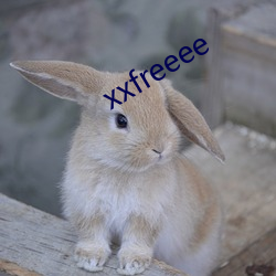 xxfreeee （相对真理）