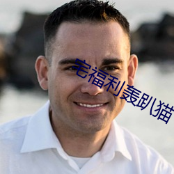 宅福利轟趴貓