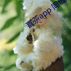 喜茶(chá)app 同城约