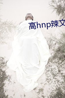 高hnp辣文