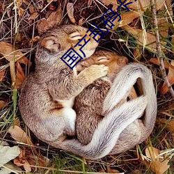 國産亂碼卡二卡三卡老狼