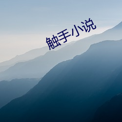 触手小(小)说(說)