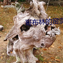 哥布(布)林(林)的窑(窯)洞百(百)度网盘(盤)资(資)源(源)