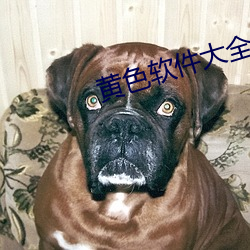 黄色软件大全网站 （为虎傅翼）