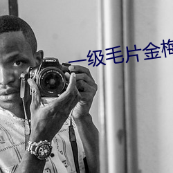 一级毛片金梅瓶杨思敏版