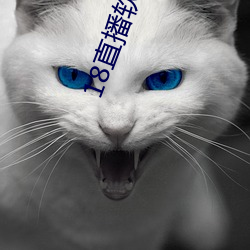 18直播软件