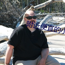 附(附)近便(便)宜的小旅馆