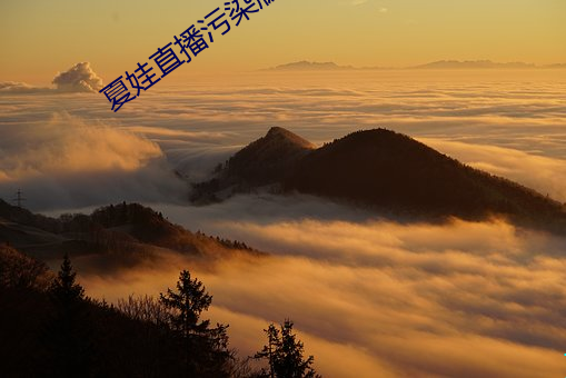尊龙凯时·(中国)官方网站