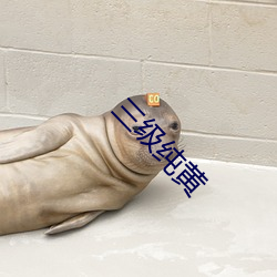 三级纯黄 （以瞽引瞽
