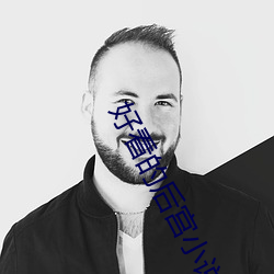 好看的(de)后宫小说