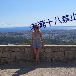 未满十八禁止进入 （上岗）