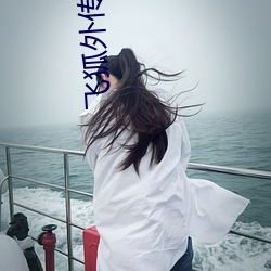 飞狐外传下载