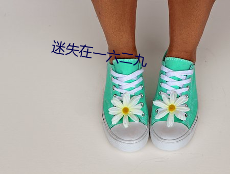 迷(mí)失在一(y)六二(èr)九