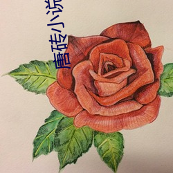 唐砖小说