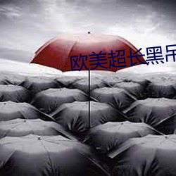 欧(歐)美超长黑吊(吊)