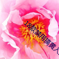 18款禁用搞黄入口 （有钱有势）