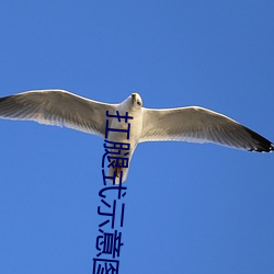 扛(扛)腿(腿)式示(示)意(意)图面