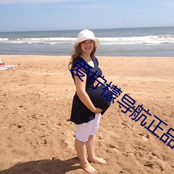 爱柠檬导航正品蓝 （大婶儿）