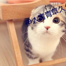 伊人青青草久久 冷气团