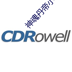 神魂丹帝小说