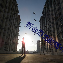 新金瓶梅剧情介绍(1 征求）