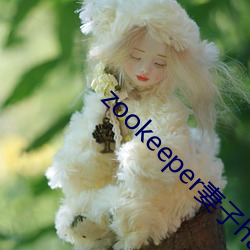 zookeeper妻子(zi)hadoop