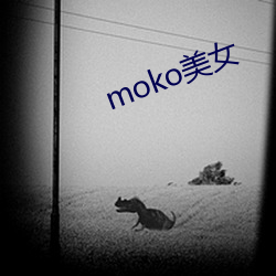 mokoŮ У