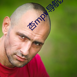 杏mpv导航入口